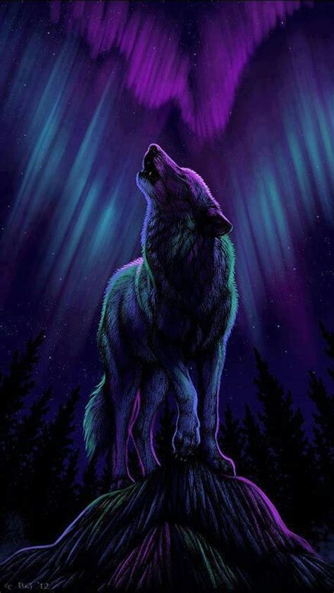 Galaxy Wolf Wallpapers Top Free Galaxy Wolf Backgrounds