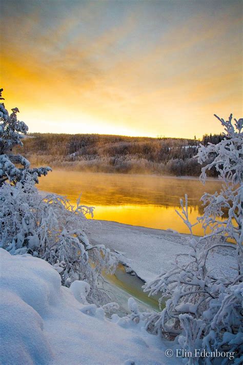 Yellow Winter With Images Winter Sunset Winter Scenes