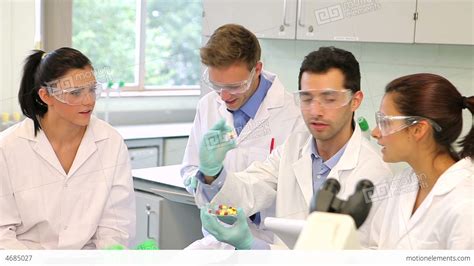 Team Of Science Students Working In The Lab Stock Video Footage 4685027
