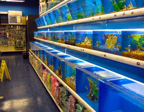 Marine Aquarium Warehouse Collegelader
