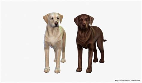 Download Blue Ancolia Sims Pets Sims 4 Pets Sims 4