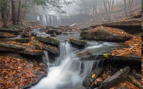 Morning Mist Waterfall Leaves Forest Pennsylvania Nature
