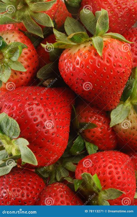 Stack Of Strawberries Stock Image Image Of Season Ripe 78113271