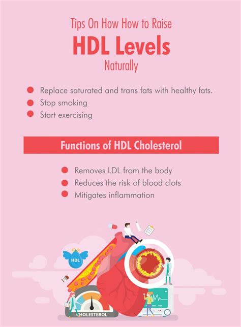 How To Increase Hdl Cholesterol Fatty Liver Disease