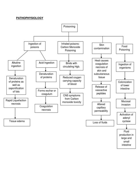 Pathophysiology Of Poisoning Poison Medicine