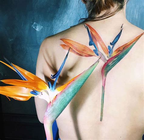 Bird Of Paradise Plant Tattoo