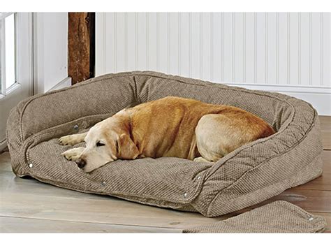 Top 10 Best Dog Beds Cheap Dog Beds For Sale Uk
