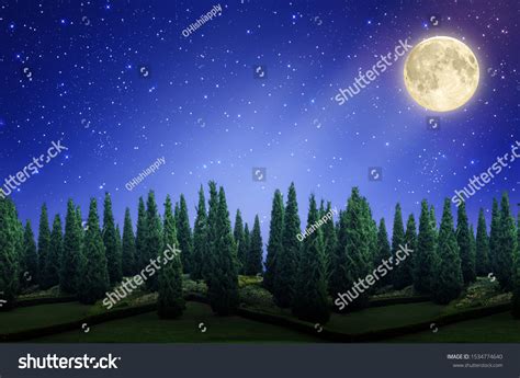 Starry Night Sky Full Moon Pine Stock Illustration 1534774640