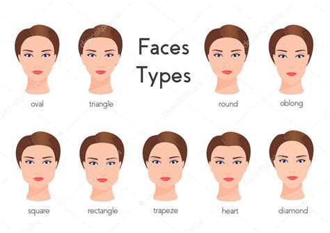 set van verschillende vrouw gezicht typen vrouwelijke gezichtsvormen dames gezicht verhoudingen