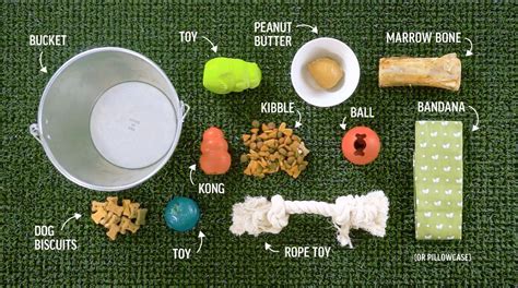 Diy Busy Bucket For Dogs Earth Rated Dog Busy Toys Diy Dog Stuff