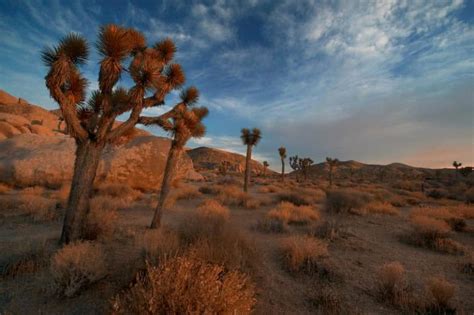 Top 10 Most Beautiful Deserts In The World The Mysterious World