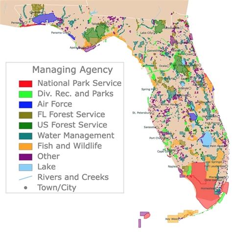 American Alligator Habitat Map