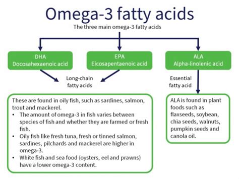 Omega 3 And Fish Oil Supplements Healthify