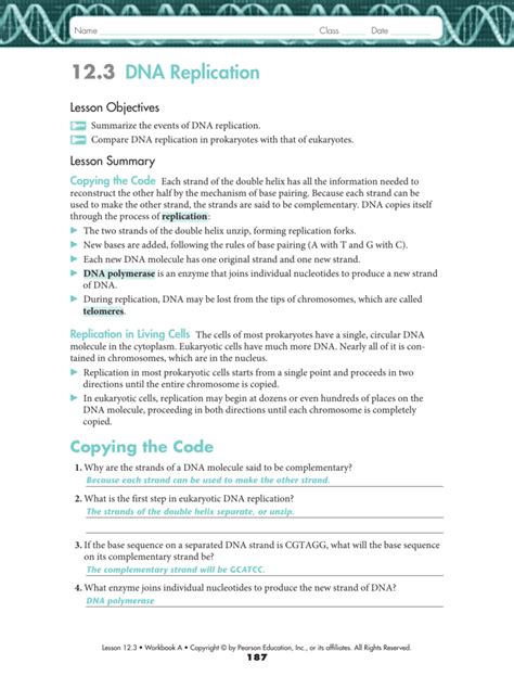 Dna replication worksheet flashcards | quizlet. Amoeba sisters dna replication answer key pdf