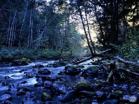 Big Quilcene River By Kirk Beeler Turningart