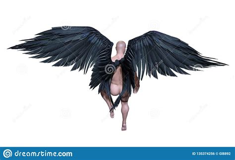 alas del demonio wing plumage negro con la trayectoria de recortes stock de ilustración