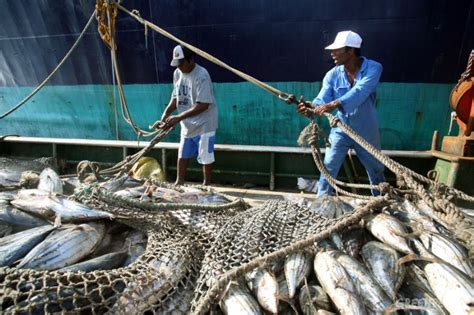 La Pesca Da Sustento A 12 De La Población Mundial Iq Latino