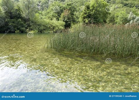 Green Scenery With River Stock Photo Image Of Grass 27199340