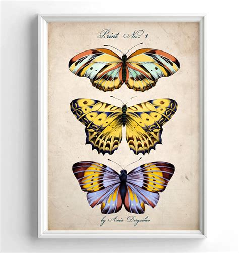 Butterfly Downloadable Wall Art Butterfly Printable Poster Etsy