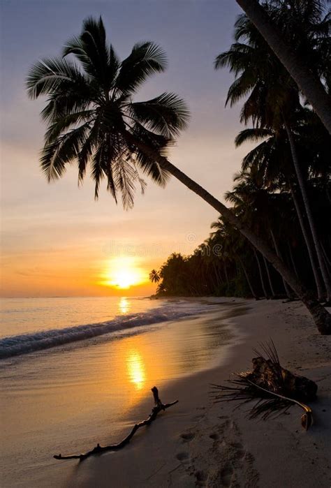 The Beach On The Tropical Island Dawn Indonesia Indian Ocean Stock