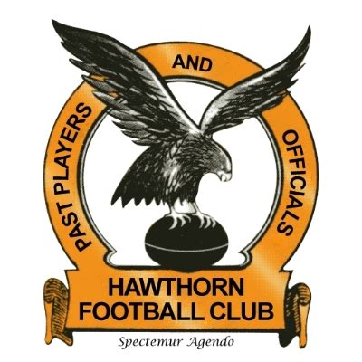 Here you can explore hq hawthorn football club transparent illustrations, icons and clipart with filter setting like size, type, color etc. Hawthorn Football Club | Hawthorn Football Club Foundation