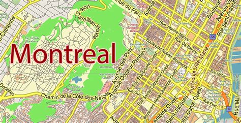 Montreal Quebec Canada Pdf Vector Map City Plan Low