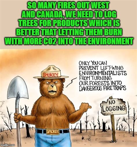 Logging Helps Save More Trees Imgflip