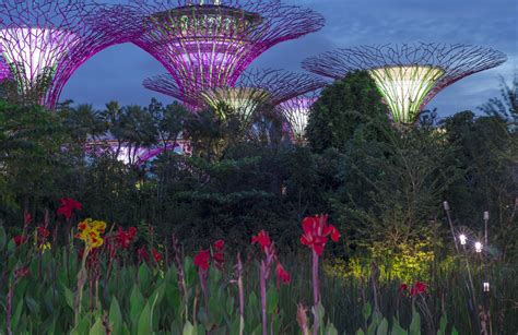 Top 5 Tourist Attractions In Singapore Singapore Expats