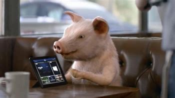 GEICO TV Commercial, 'Pig Latin Maxwell Pig' - iSpot.tv