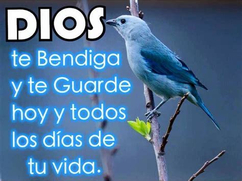 Dios te bendiga y te guarde hoy y todos los días de tu vida Dios te bendiga Frases