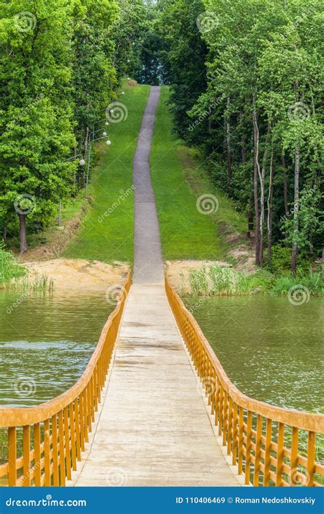 Wooden Pontoon Bridge On A Forest Lake Stock Image Image Of Pond