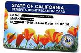 California Insurance Identification Card Pictures