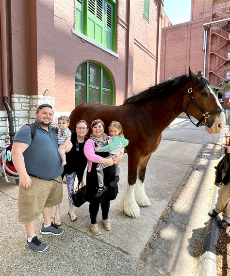 Budweiser Brewery Experience on Twitter: "Make a memory they'll never