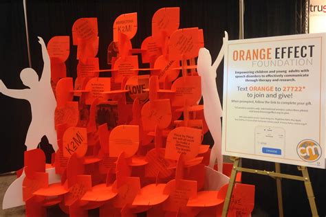 Seeing Orange The Orange Effect Foundation