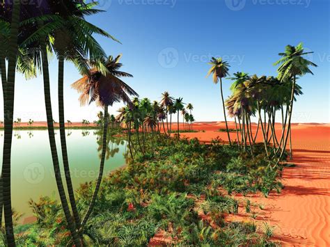 African Oasis 1329959 Stock Photo At Vecteezy