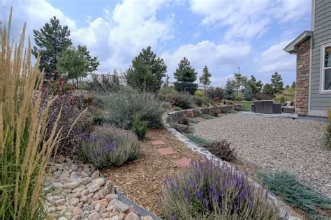6 Steps To Prepare Your Yard For Xeriscaping Backyardway