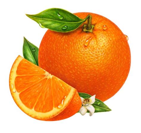 Fruit Clipart Png Orange Clip Art Library Images And Photos Finder