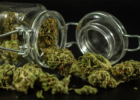 How Long Does Weed Stay Good? - Cannabis Shelf Life - Cannabis Storage