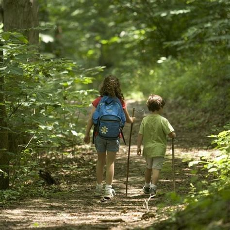 7 Reasons To Take Your Kids Hiking Mom With Five