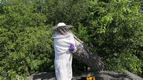 Euless Man Discovers Bees Didn T Stick Around Fort Worth Star Telegram