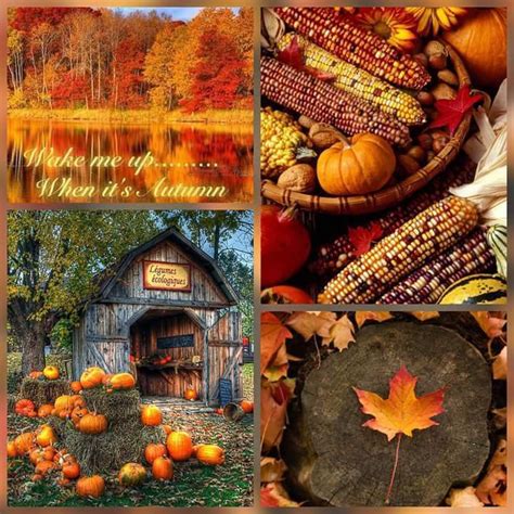 Pin By Becky Cagwin On Seasons Amazing Autumn Harvest Season Fall