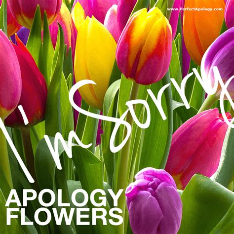 Feb 04, 2015 · in the world of floristry beauty is an everyday thing, but as with most things in life, beauty is often in the eye of the beholder. Say sorry with the best apology flowers. What color, which ...