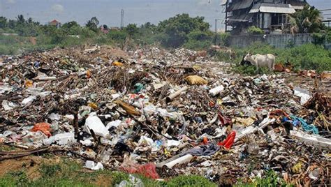 Effective municipal solid waste management system in malaysia according to the reports, the municipal solid waste is mainly made of contains organic materials, plastic, paper, textile materials, rubber, metal and glass. Solid Waste Management - Reuse, Recycle and Go Green! Need ...