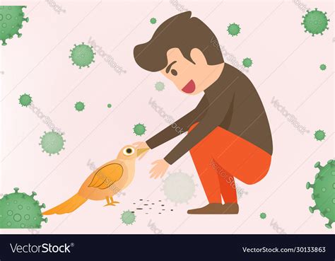 Avian Flu Infographic Elements Bird Flu Disease Vector Image