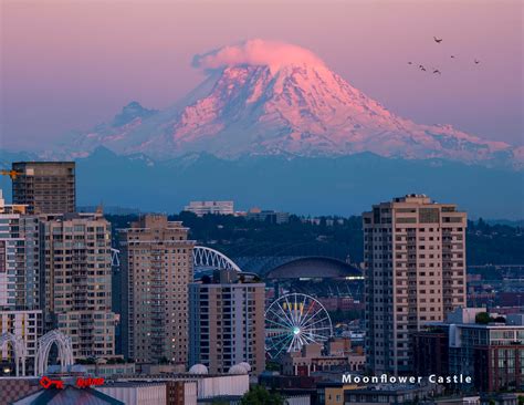 Mount Rainier Behind Seattle Print Photograph Landmark Photo