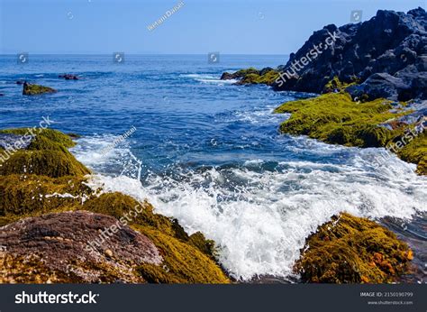 Low Tide Sea Reveals Collage Texture Stock Photo 2150190799 Shutterstock