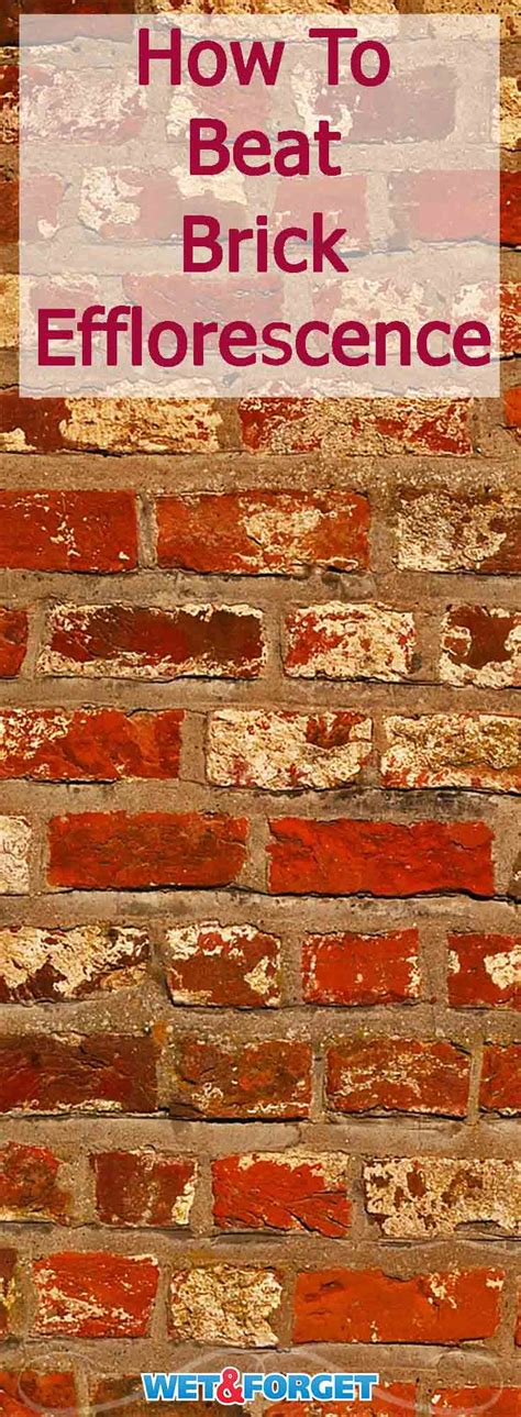 How can i remove efflorescence from bricks? Ask Wet & Forget Brick Efflorescence: What it is and How ...