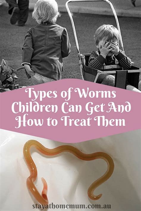 5 Types Of Worms Children Can Get And How To Treat Them Kids Health