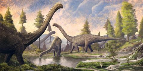 Early artists' renditions of diplodocus' posture depict a straddling gait, with the legs put out to the side and belly dragging along the ground. Diplodocus - Bilimsel Dünya