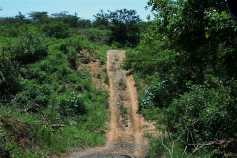 Trail In Thula Thula Game Reserve Free Stock Photo Public Domain Pictures